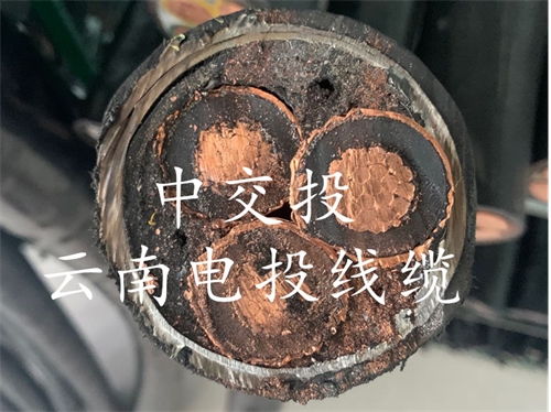 昆明電纜廠丨昆明交投電纜丨昆明鋁合金電纜丨昆明高壓電纜廠